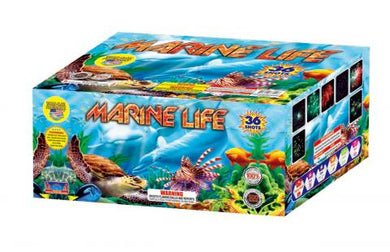 Marine Life 36's,Curbside Fireworks