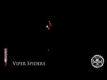 Load and play video in Gallery viewer, Viper Spiders 56&#39;s

