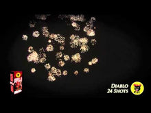Load and play video in Gallery viewer, Diablo 24 Canister Shells
